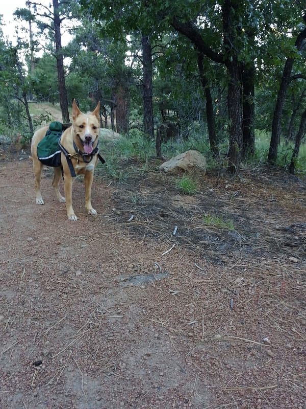Fatman’s Loop Trail