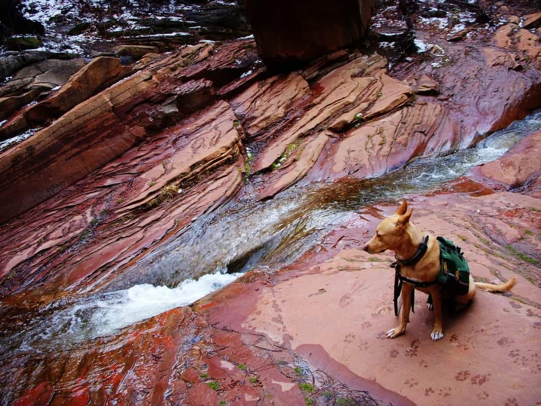 West Fork Oak Creek Trail