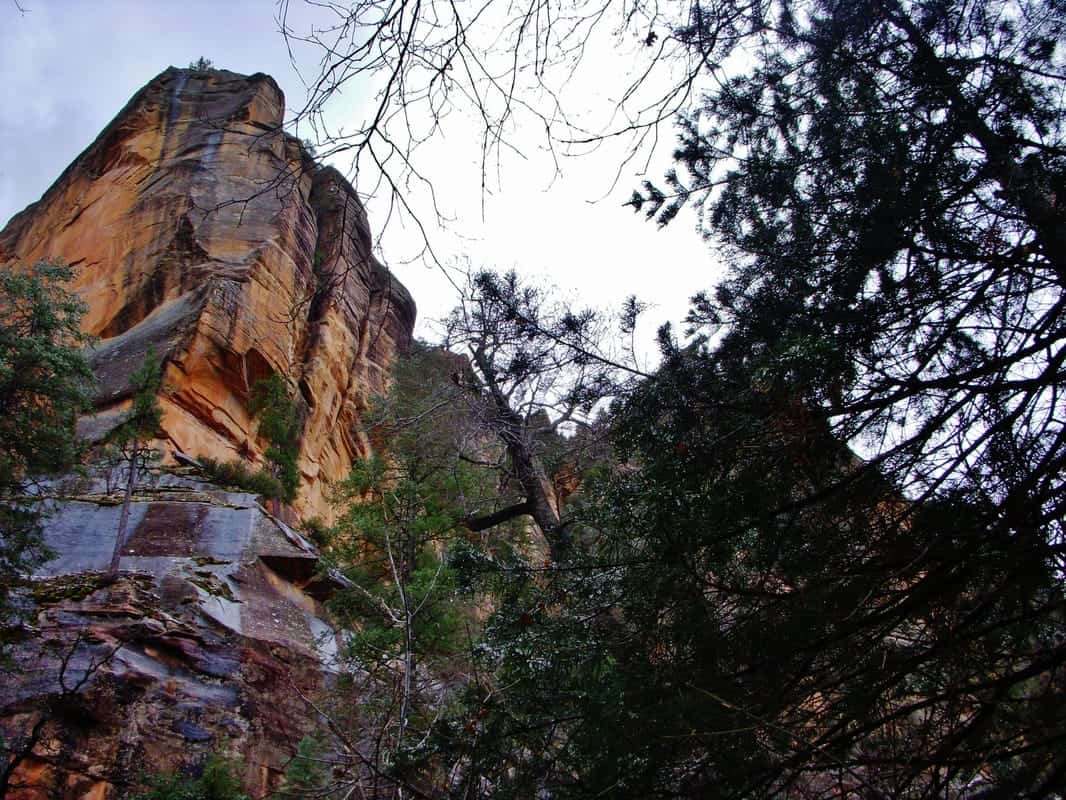 West Fork Oak Creek Trail