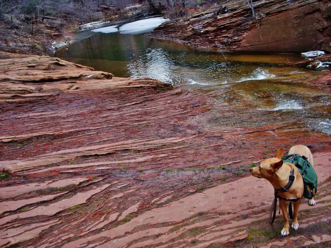 West Fork Oak Creek Trail