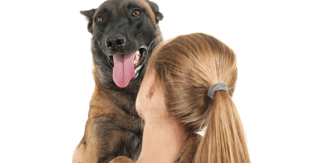 How Long Do Pet Sitting Visits & Dog Walks Last? Fur Heart Pet