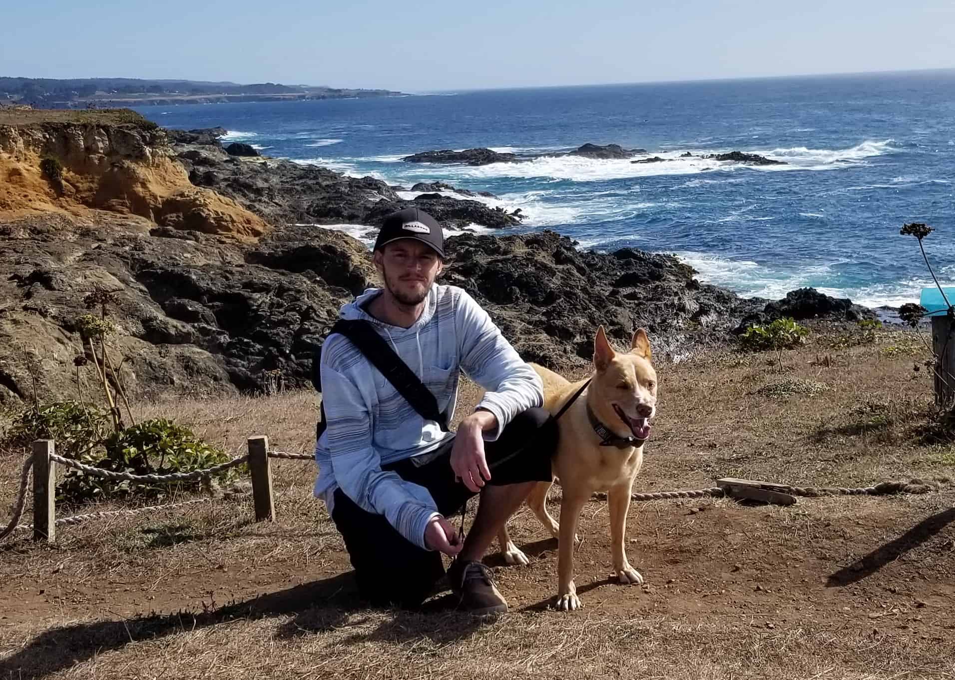 Pet Sitters Near Me